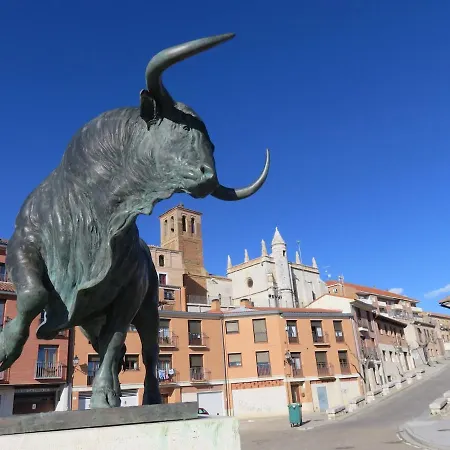 Ruta Del Vino 1 Tordesillas